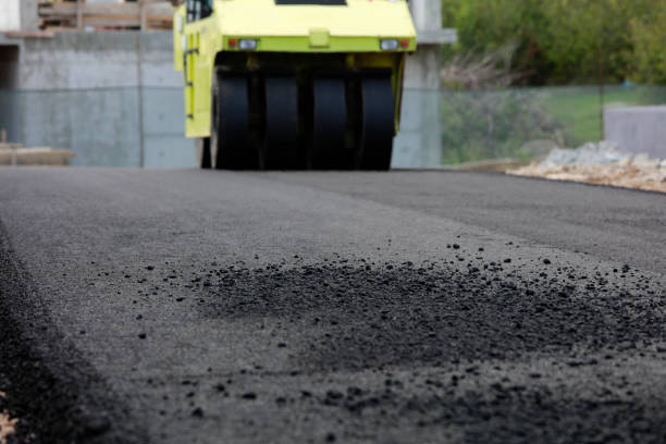 Best Driveway Paving Contractor  in Eustis, FL